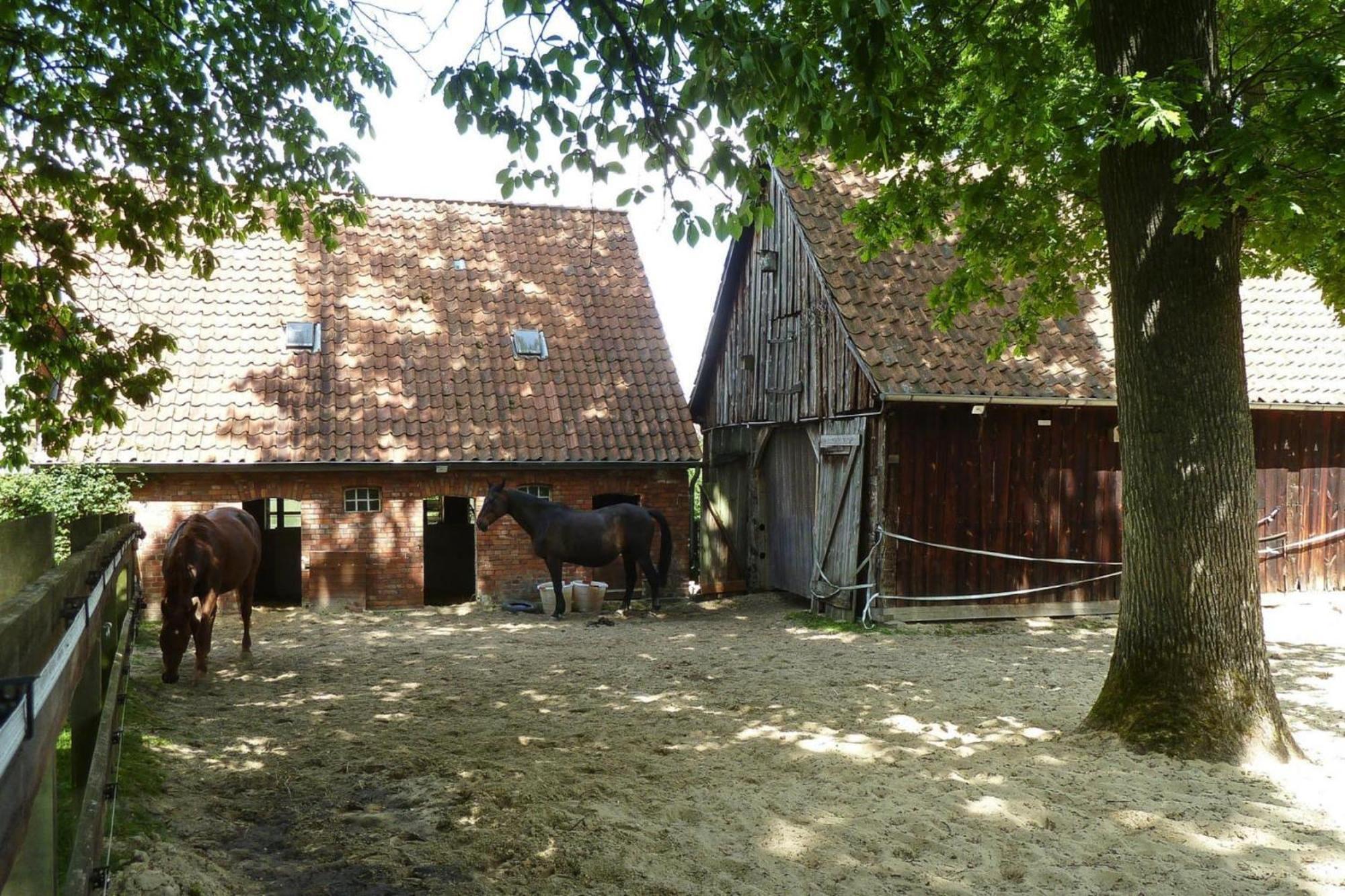 Ferienwohnung In Dorfmark エクステリア 写真